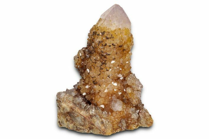Sunshine Cactus Quartz/Amethyst Crystal Cluster - South Africa #337657